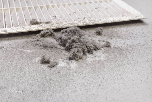 Best Air Duct Cleaning Near Me  in Butte, AK