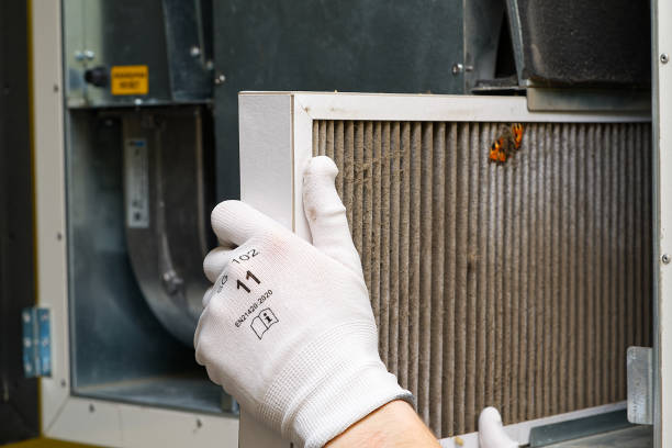 Best Air Vent Cleaning Services  in Butte, AK