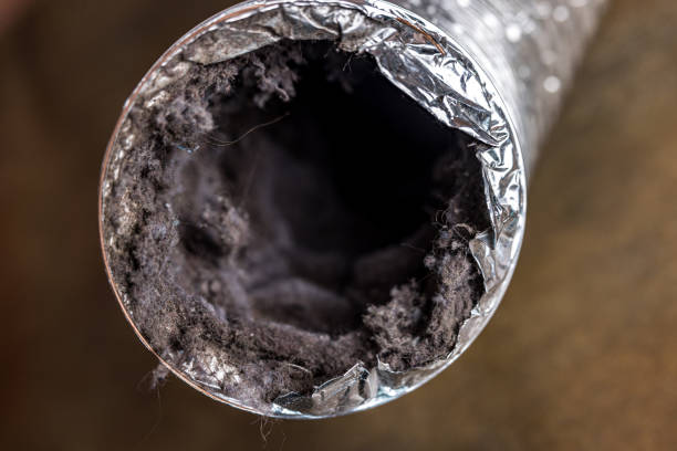 Best Professional Duct Cleaning Services  in Butte, AK